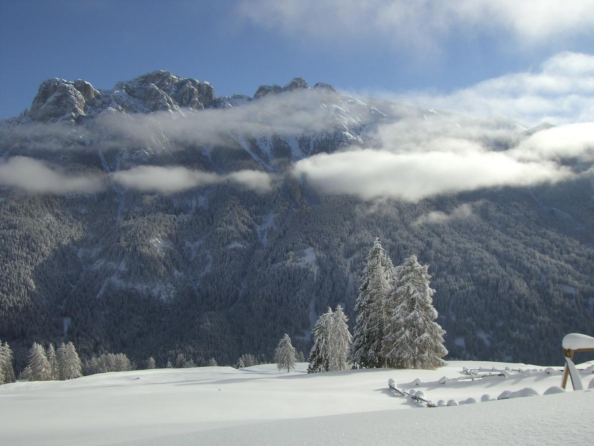 B&B Fior Vigo di Fassa Dış mekan fotoğraf